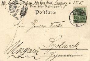 1900 Hamburg, Rathaus / town hall. Aug. Heinecke litho (EK)