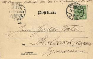 1899 Altona (Hamburg), Kriegerdenkmal. Verlag v. C. Worzedialeck / monument (EK)