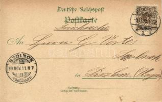 1898 Magdeburg, Inselteich, Elb-Ansicht, Dom. Lit. B. No. 147. Art Nouveau, floral, litho