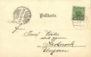1899 Bremen, Kaffeehaus Emmasee, Bürgerpark / café, park, rowing boats. litho (EK)