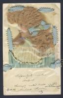 Litho with real hair