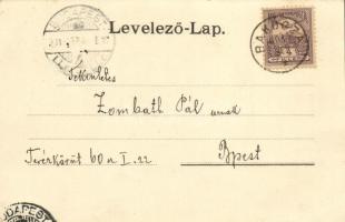 1901 Sasrétpuszta (Almamellék), Sas rét erdész lak (Ibafa-Baránya) / Forsthaus (EK)