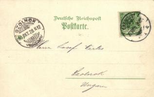 1898 Chemnitz, Marktplatz, Stiftung v. Zimmermann'sche Naturheilanstalt, Kgl. Gymnasium, Schlac...