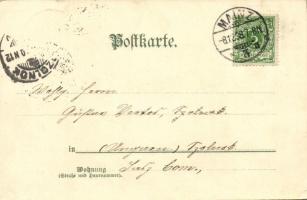 1898 Mainz, Totalansicht, Dom / general view, cathedral. Joh. Elchlepp's Hofkunstverlag litho s...