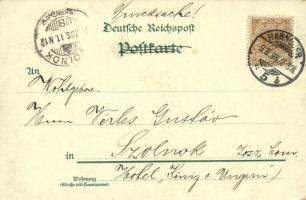 1898 Hannover, Technische Hochschule, Herrenhauser-Allee / Technical University, alley. Kunstanstalt...