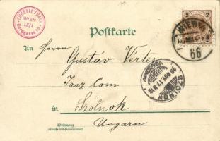 1898 Wien, Vienna, Bécs; Albrechts-Platz, Mozart-Denkmal / square, monument. Kunstanstalt J. Miesler...