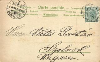 1900 Wien, Vienna, Bécs I. Universität / university, litho (EK)