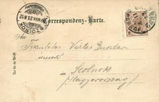 1899 Salzburg, Aussicht von der Festung Hohensalzburg, Dom, Schloss Anif, Schloss Leopoldskron / cas...