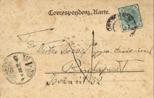 1906 Maiernigg, Wörthersee / ship station. Römmler & Jonas (fl)