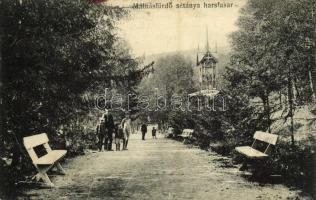 1912 Málnásfürdő, Malnas-Bai; sétány és hársfasor. Adler 17112. No. 2. / promenade and linden trees