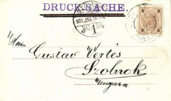 1901 Trieste, Trieszt, Trst; Piazza Grande nel 1850 / square, market vendors