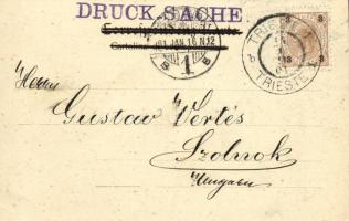 1901 Trieste, Trieszt, Trst; Miramar / Miramare Castle. M. M. 14. 592. (EK)