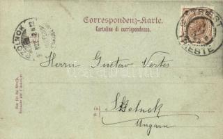 1898 Trieste, Trieszt, Trst; Panorama / port, molo, sailing vessels (EK)