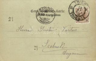 1898 Trieste, Trieszt, Trst; Lanterna / lighthouse, boats (EK)