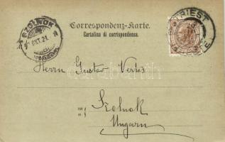 1898 Trieste, Trieszt, Trst; Barcola / general view, railway bridge (EB)