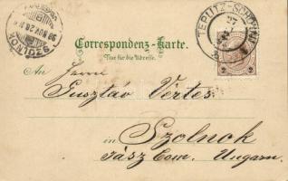 1898 Teplice, Teplitz, Teplitz-Schönau; Schlossplatz mit dem fürstl. Clary'schen Schloss u. d. ...