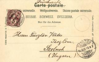 1898 Zürich, Grossmünster, Panorama / general view, cathedral, folklore, bridge, tram. Carl Künzli N...