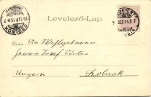 1899 Budapest XIV. Városliget, Történelmi főcsoport, Vajdahunyad vára. Kunstanstalt "Kosmos&quo...