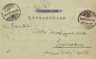 1898 Budapest, Nemzeti Múzeum, Akadémia. Art Nouveau, floral, litho