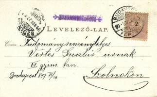 1899 Budapest VII. Keleti pályaudvar, vasútállomás. Art Nouveau, floral, litho (felületi sérülés / s...