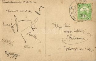 1914 Pusztakamarás, Camarasu; erdő / forest. photo (EK)