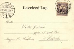 1901 Nagyszeben, Hermannstadt, Sibiu; Heltauergasse / Disznódi utca, Julius Wermesther, Carl Landman...