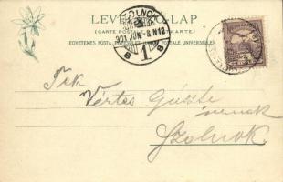 1901 Tátra, Magas Tátra, Vysoké Tatry; Felkai völgy, Sziléziai ház, Gránátfal. Feitzinger Ede 18 bt....