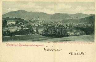 1898 Besztercebánya, Banská Bystrica; látkép. Kiadja Ivánszky Elek 4580. / general view