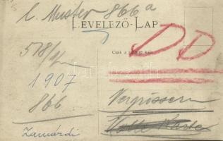 ~1907 Zamárdi, fürdőkabinok a Balatonban, fürdőzők. photo