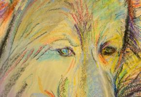 Török Orsolya (1976-2018): Kutya portré VI. Pasztell, karton. Jelzett. 35x50 cm