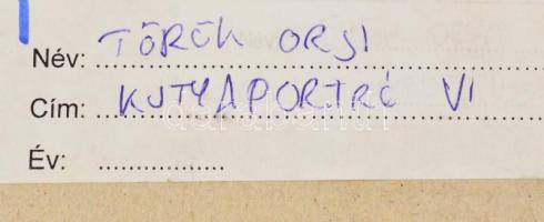 Török Orsolya (1976-2018): Kutya portré VI. Pasztell, karton. Jelzett. 35x50 cm