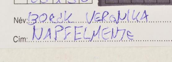 Borók Veronika: Napfelmente. Akril,  karton. Jelzett. 35x50 cm