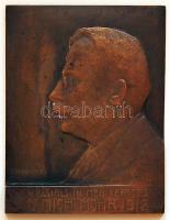 1912. "Dr. Mich Mohr" szemorvost ábrázoló extrém nagyalakú, szögletes Br plakett. Szign.Körmendi F.J. T:2