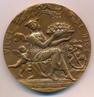 Franciaország DN Nizza városa Br emlékérem. Szign.: P. Lenoir (68mm) T:1- France ND City of Nice Br commemorative medal. Sign.: P. Lenoir (68mm) C:AU