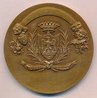 Franciaország DN "Nizza városa" Br emlékérem. Szign.: P. Lenoir (68mm) T:1-
France ND &qu...