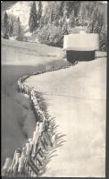 Szöllősy Kálmán (1887-1976): Snowed Hedge, pecséttel jelzett vintage fotó, felületén törésnyom, 39×23 cm