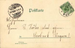 1899 Ice skating, winter sport, humor. Edgar Schmidt, litho