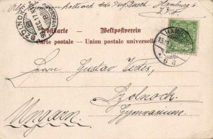 1899 Fuchs (Canis vulpes) / Fox. Verl. v. O. Schulte No. 7. litho (EB)