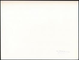 Gink Károly (1922-2002): Kerámiák, pecséttel jelzett fotóművészeti alkotás, 26×24,5 cm