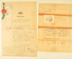 1917 Az S.M.S. China hajótisztje, Bajor Antal részére kiállított kínai útlevés és brit utazási engedély, hogy Shanghaiból az Egyesült Államok érintésével Európába hazatérjen. Üvegezett tablón. / Official traveling documents of the officer of SMS China
