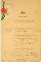 1917 Az S.M.S. China hajótisztje, Bajor Antal részére kiállított kínai útlevés és brit utazási enged...