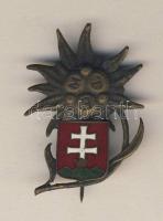 Háború előtti "MTE" (Magyar Természetjárók Egyesülete) zománcos Br kitűző T:2