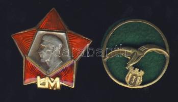 Lengyelország 2klf modern Br kitűző, az egyik zománcozott T:2