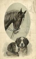 1910 Dogs with horse. Mary Mill Nr. 1507. (fa)