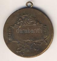 1934. "Kiskun viadal 1932" Br díjérem T:2/3 kis ph