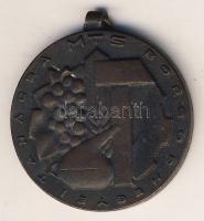 DN "MTS-Borsod Megyei Tanácsa" Br díjérem T:2