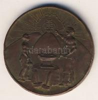 1929. "A Bajai Ipartestület Tanonczmunkája Kiállítás" Br díjérem T:2 ph.