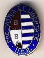 USA Emigrációs Ag 4,5g zománcos kitűző T:1 HUNGARIKA!