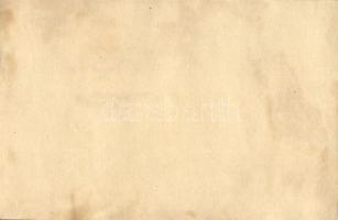 SMS "Temes" monitor Budapesten, legénység a fedélzeten. Dunaflottilla  / K.u.K. Kriegsmari...