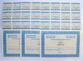 Budapest 1996. "Aquincum Kárpótlási Jegy Befektető Részvénytársaság" 1000Ft értékű részvén...